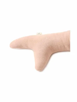 Teddywal